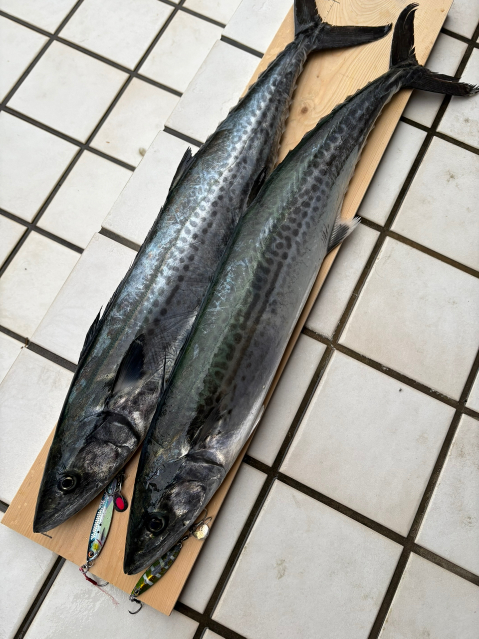 SHIMANO 19ステラ SW 4000HGの最安値・インプレ・釣果 | 本音の SHIMANO 19ステラ SW 4000HGの最安値・インプレ・釣果 | 本音の