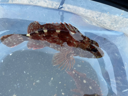 長崎湾