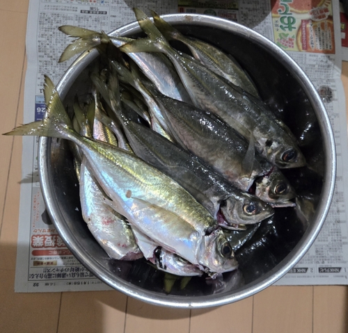 紀伊水道