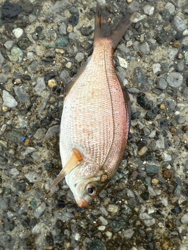 うみかぜ公園