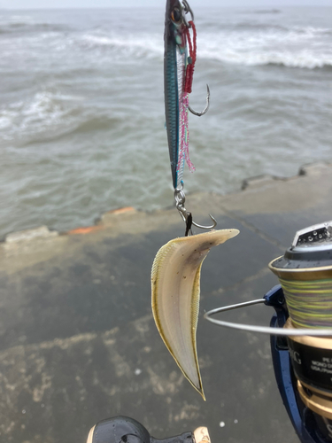 内灘海岸