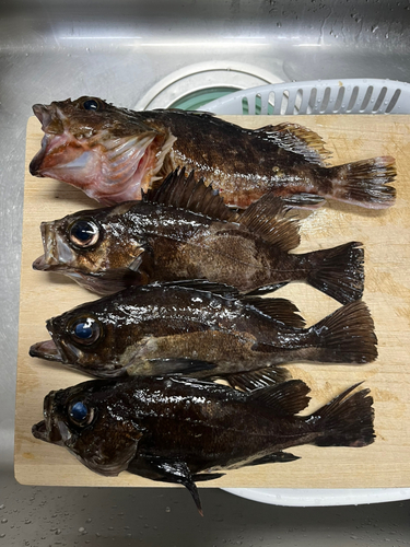 知多湾