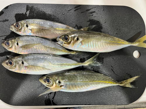 那珂湊沖