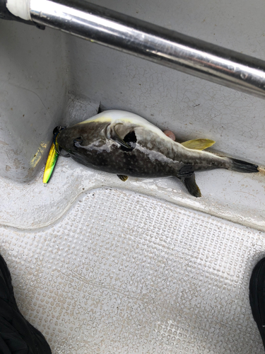 若狭湾