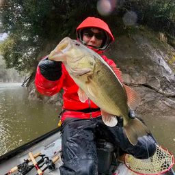 ラージマウスバス