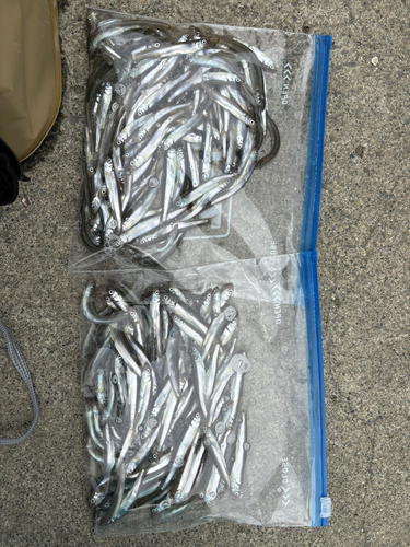 久慈漁港