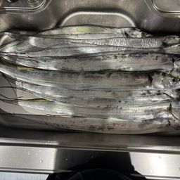 タチウオ