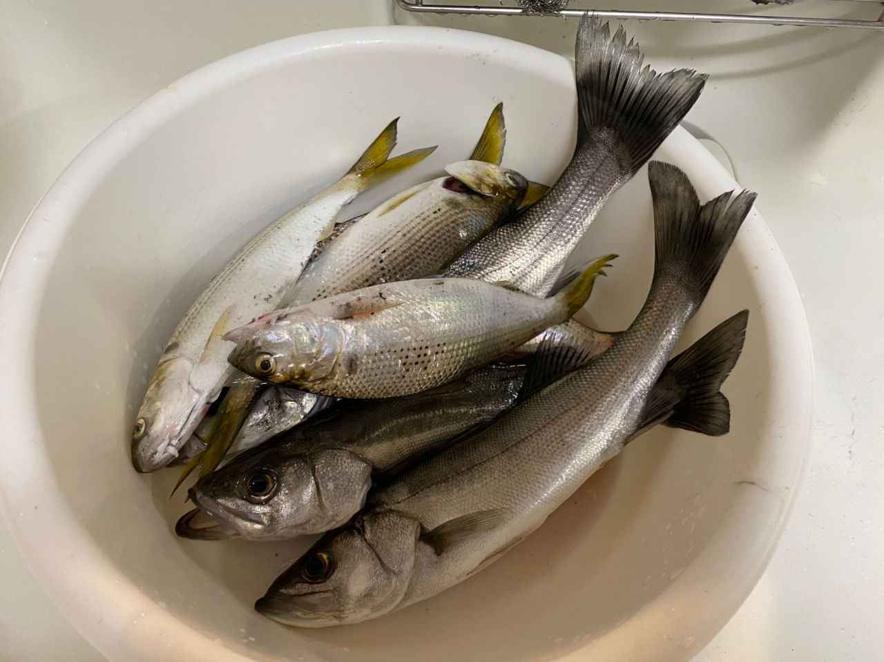 SHIMANO 19エクスセンスジェノス S110MH/Rの最安値・インプレ SHIMANO 19エクスセンスジェノス S110MH/Rの最安値・インプレ