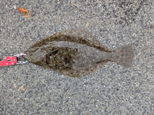 しまなみ海道