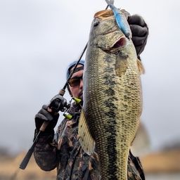 ラージマウスバス