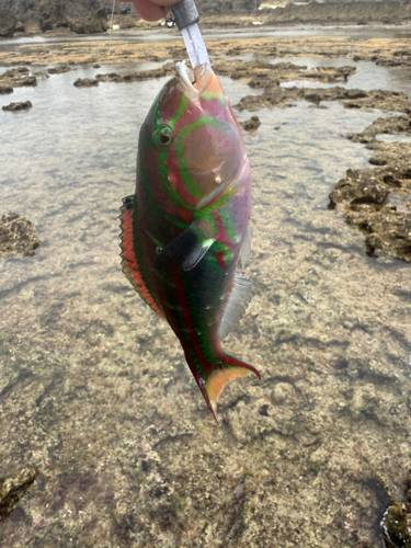 沖縄本島
