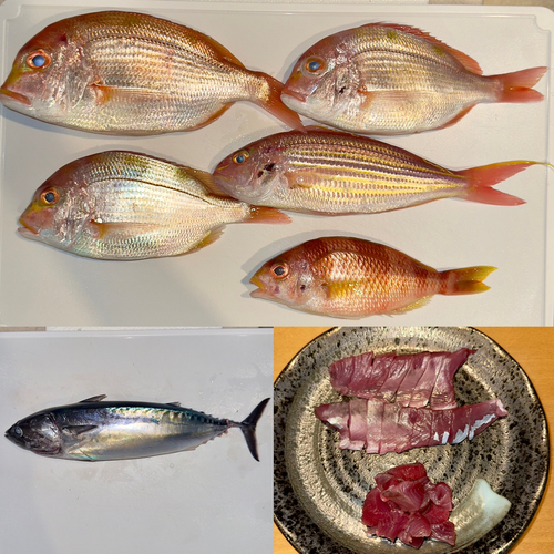 尾鷲湾