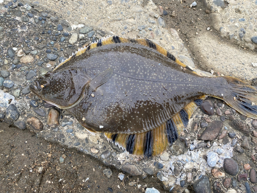 石狩湾新港
