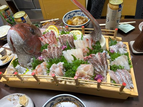 マダイの釣果