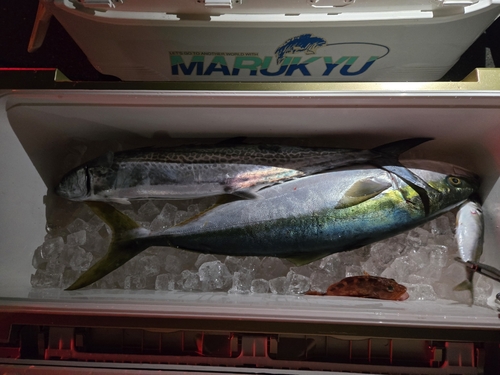 瀬戸内海