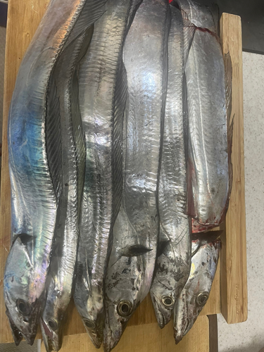 駿河湾