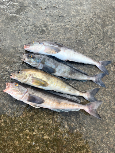 日本海