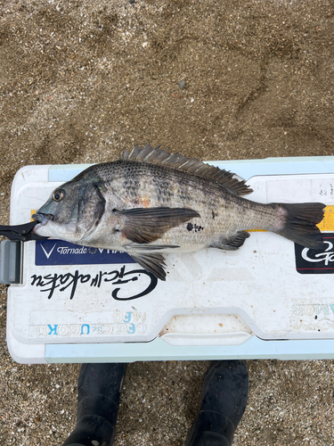 広島湾
