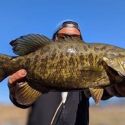 スモールマウスバス