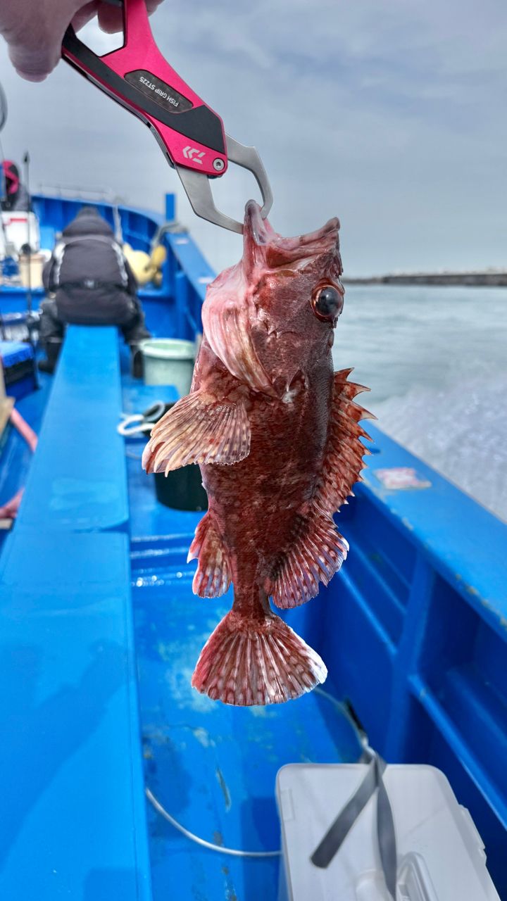 まるちゃんねーるさんの釣果 1枚目の画像