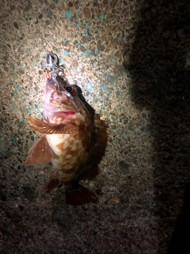 紀伊水道