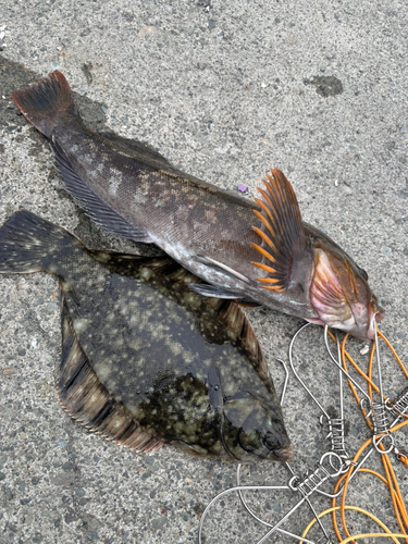 浜厚真漁港