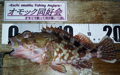 浦戸湾