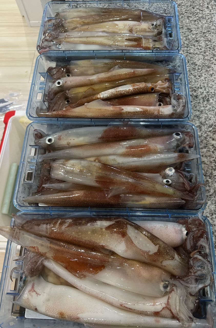 ヒグヒグさんの釣果 3枚目の画像