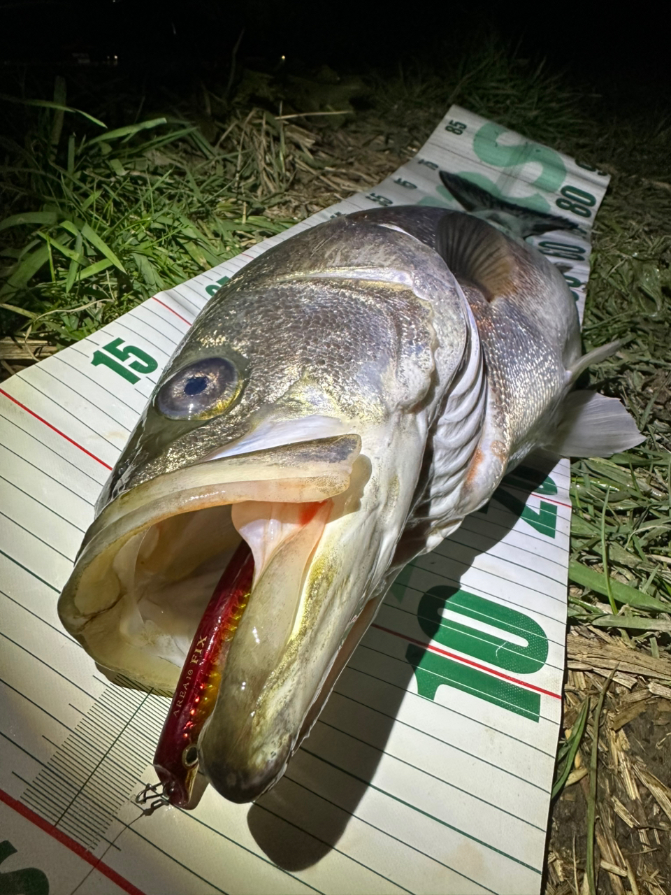DAIWA 21モアザン ブランジーノ EX AGS 94LMLの最安値・インプレ DAIWA 21モアザン ブランジーノ EX AGS 94LMLの最安値・インプレ