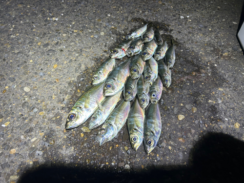 鹿島灘
