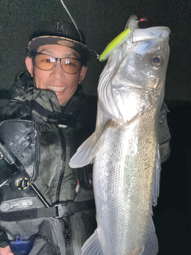 伊勢湾湾奥