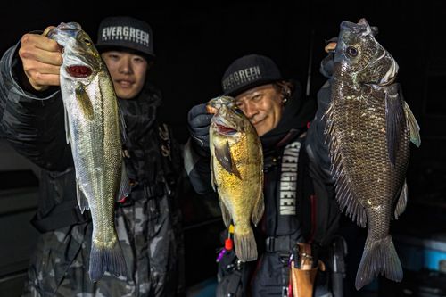 シロメバルの釣果