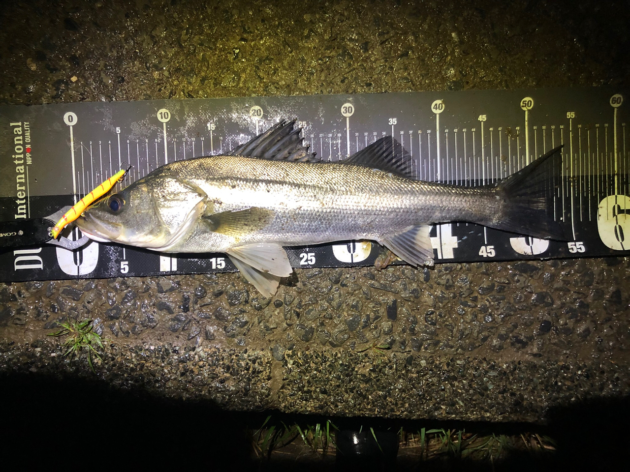 SHIMANO 20ルナミス S96MHの最安値・インプレ・釣果 | 本音の