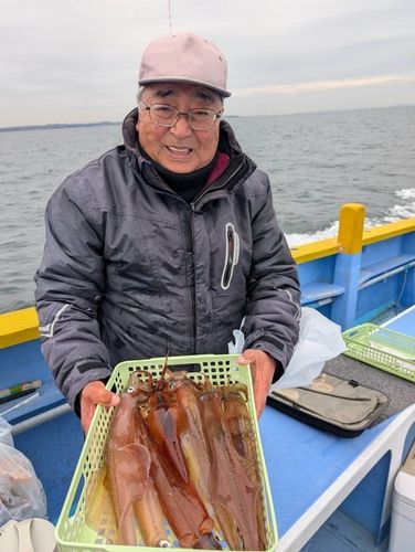 ヤリイカの釣果