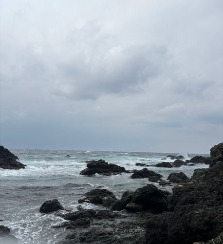 ヒラスズキの釣果
