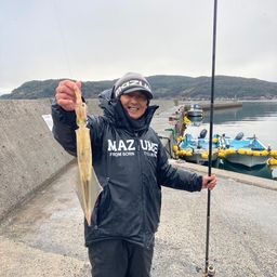 ヤリイカ