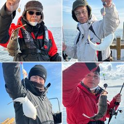 ショウサイフグ