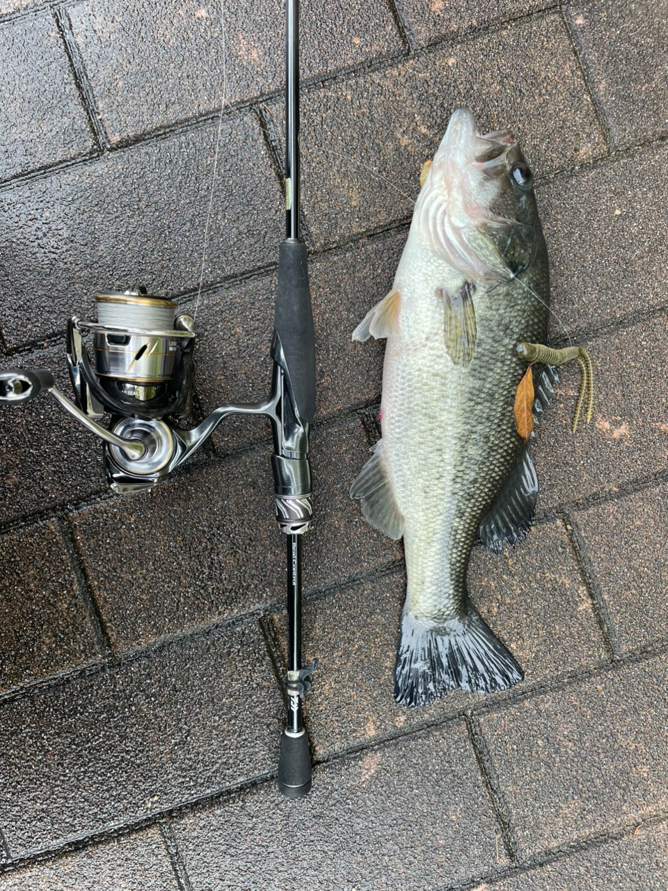 DAIWA スティーズ リアルコントロール 2023年モデルの最安値