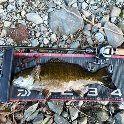 スモールマウスバス