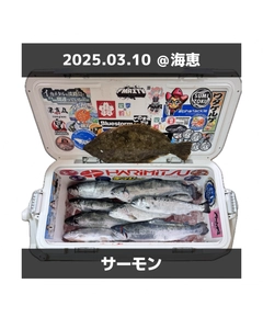 トラウトの釣果