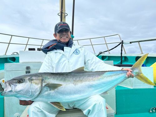 ヒラマサの釣果