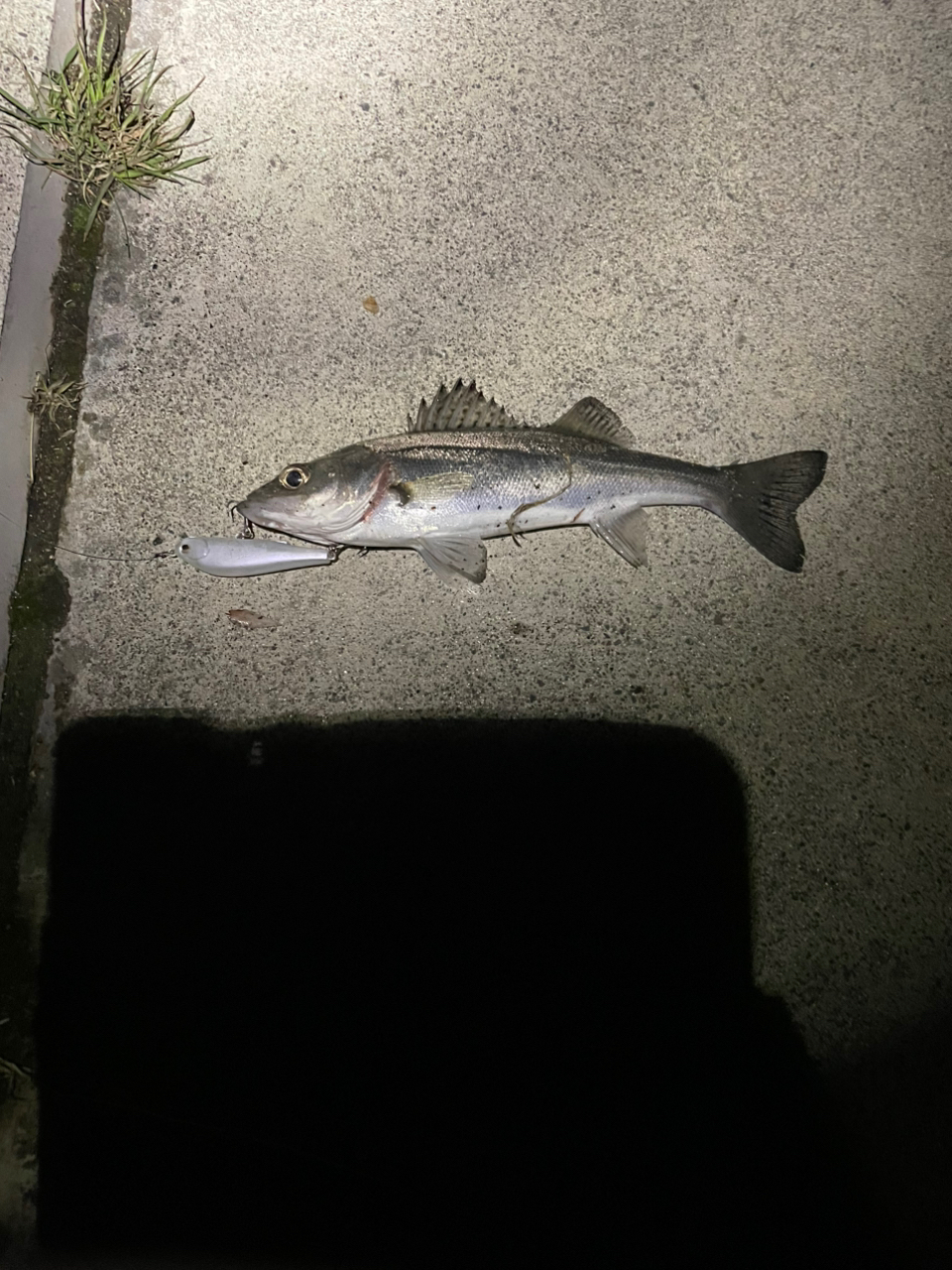 SHIMANO 23ハイパーフォース LB C3000MHGの最安値・インプレ