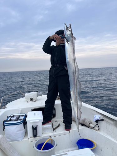 タチウオの釣果