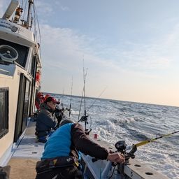 ビンチョウマグロ