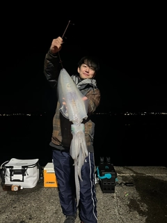 アオリイカの釣果