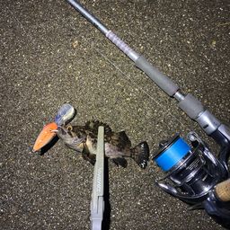 クロソイ