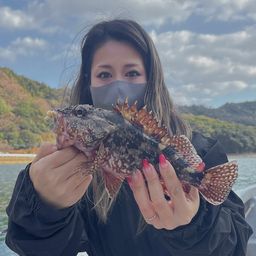 カサゴ