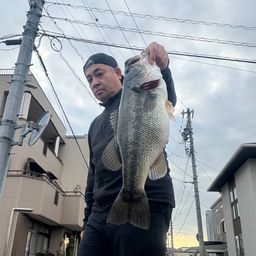 ブラックバス