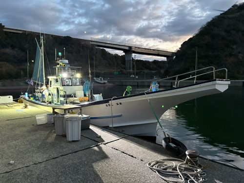 マサバの釣果
