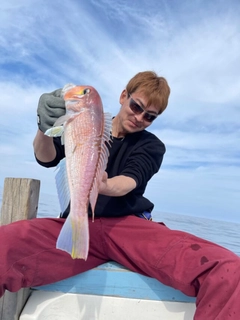 アカアマダイの釣果